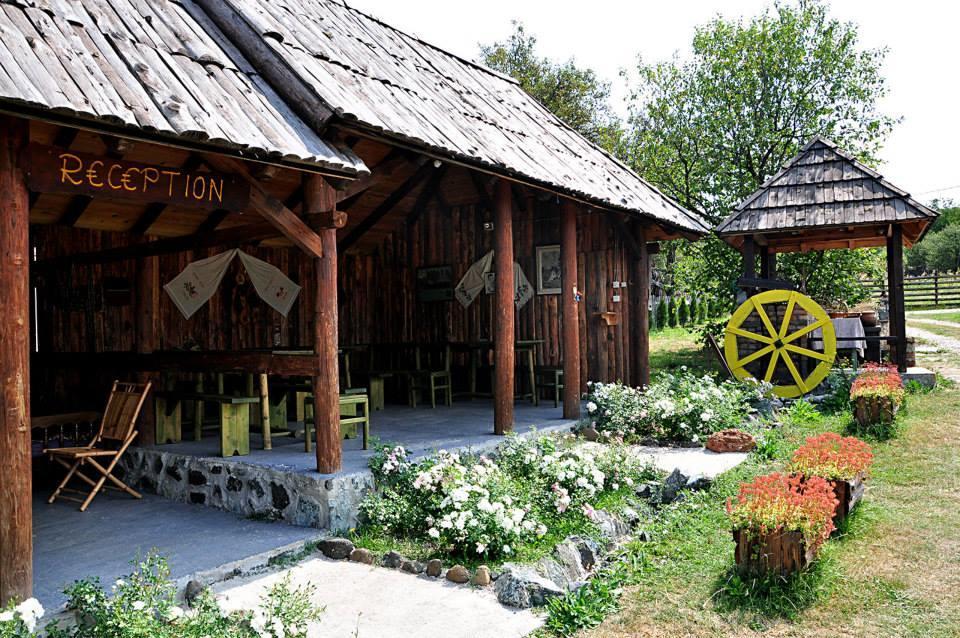 Апартаменты Camp Viljamovka Kremna Экстерьер фото