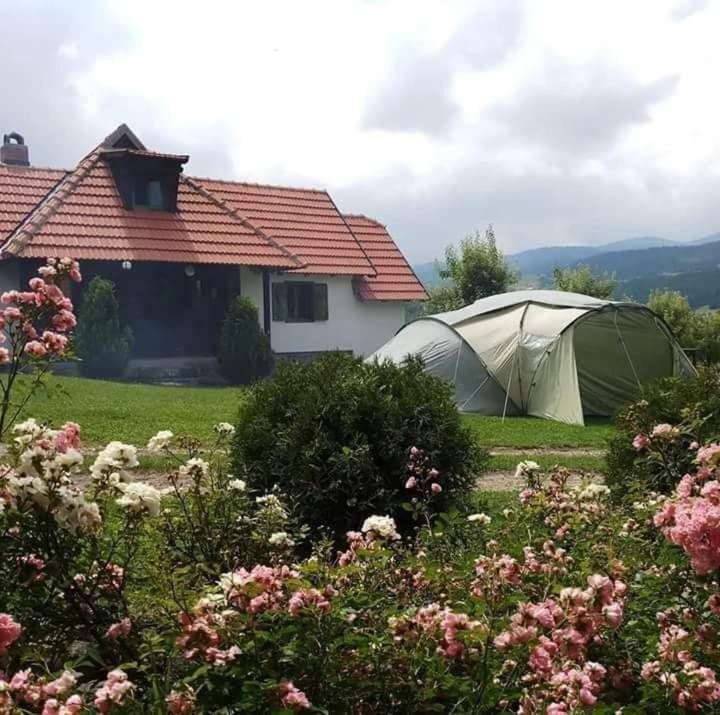 Апартаменты Camp Viljamovka Kremna Экстерьер фото